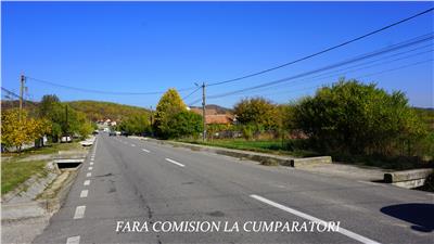 COPACELU, TEREN 3803 MP, TOATE UTILITATILE
