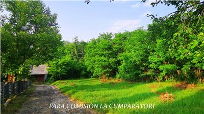 TEREN 684 MP, ZONA SUPERBA