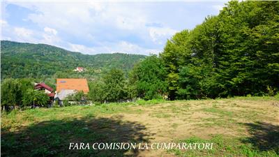 TEREN 1130 MP, LANGA ORAS, CADRU NATURAL FRUMOS
