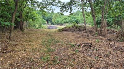 TEREN IDEAL PENTRU A-FRAME SAU UN CONTAINER MODERN